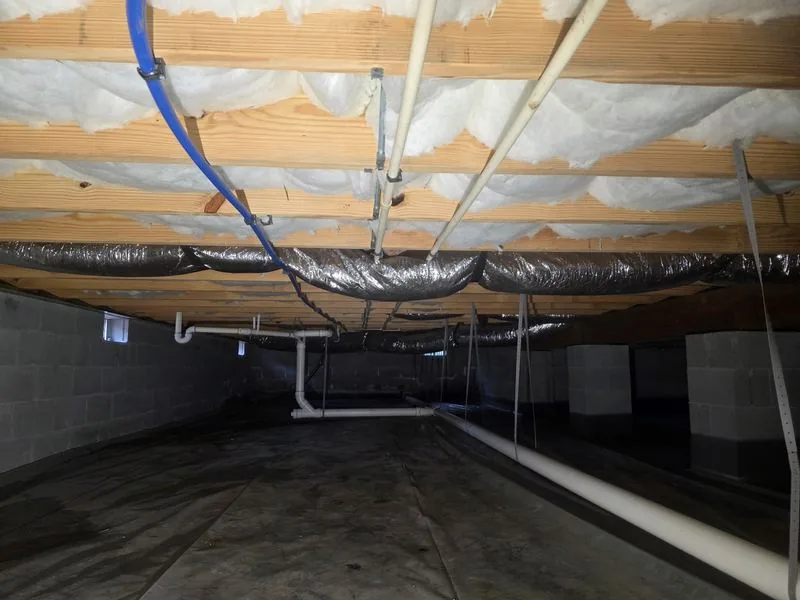 Antimicrobial joist treatment during crawlspace mold remediation