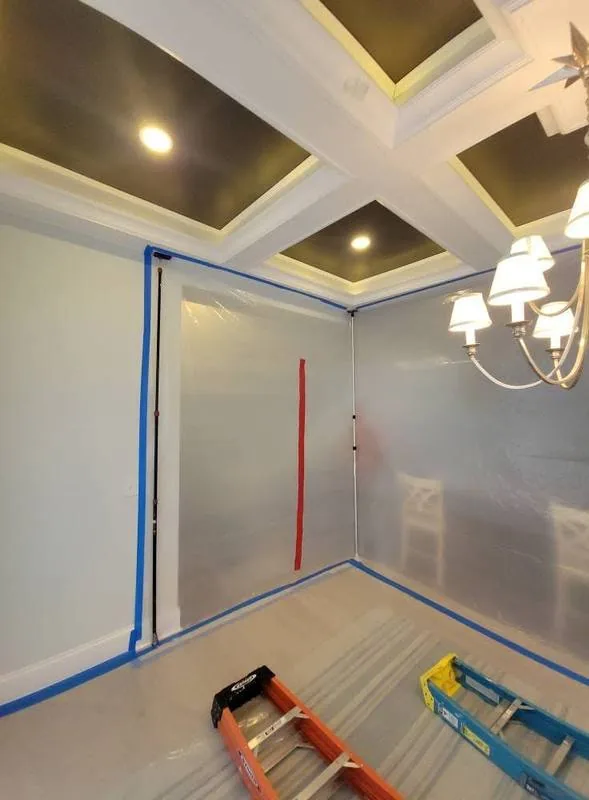 Full barrier containment protocol Delaware mold remediation
